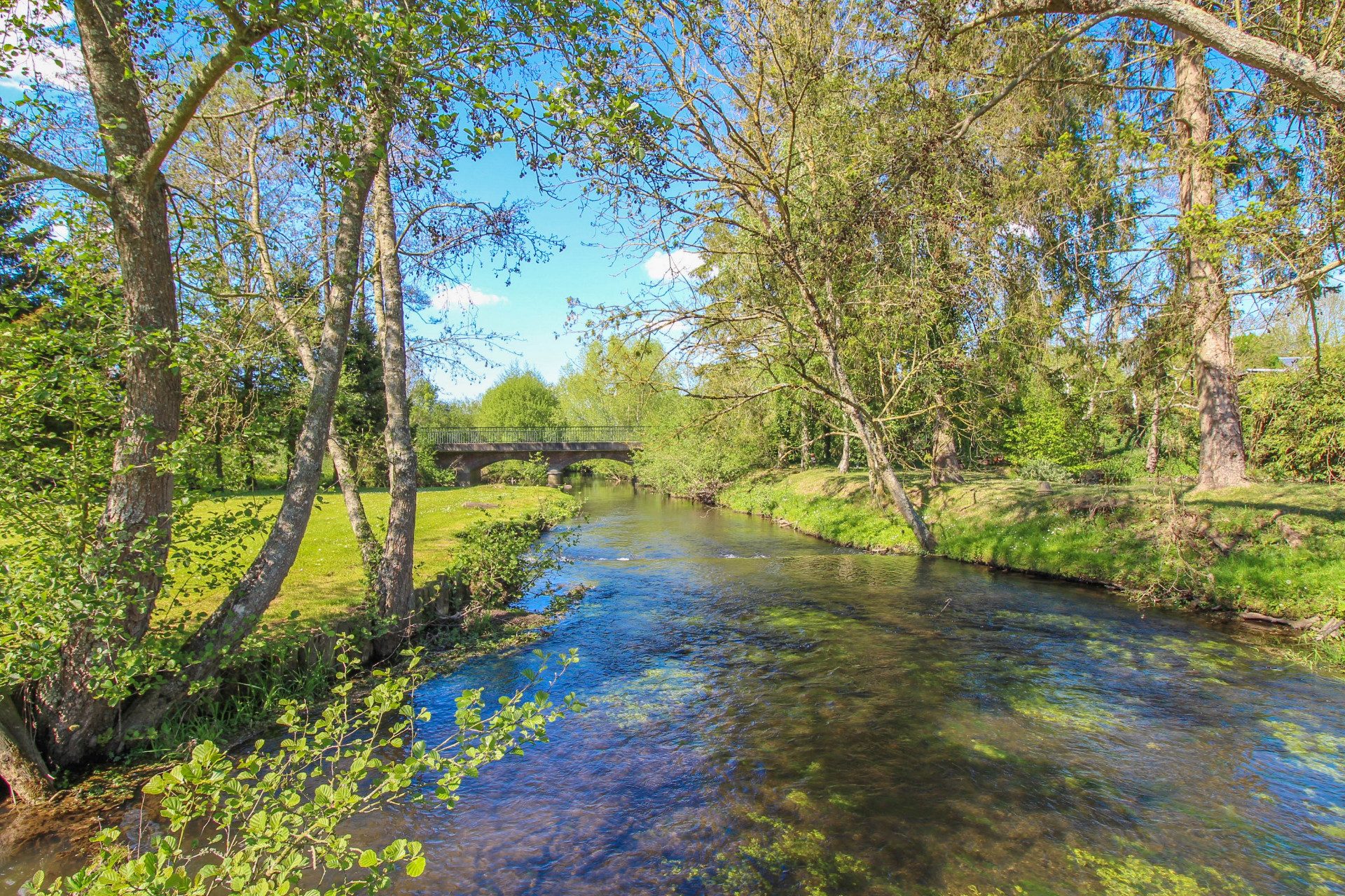 Rivière traversant le domaine avec pont en pierre