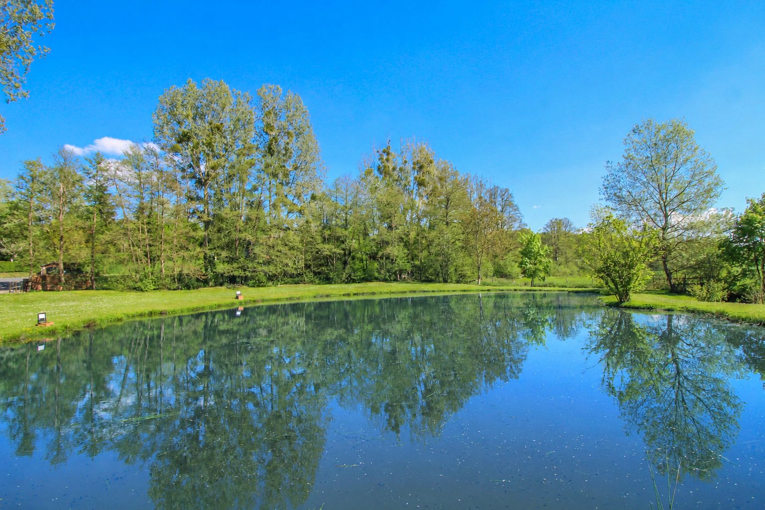 Plan d'eau aux reflets miroir bordé d'arbres